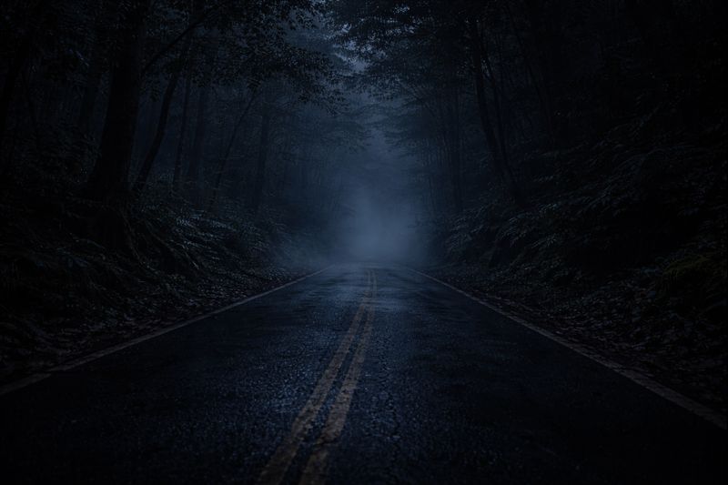 An empty forest road in Taiwan disappearing into fog after dark