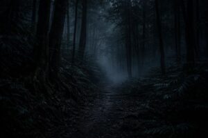 Misty Taiwanese forest trail at night where urban legends warn hikers not to answer whispers