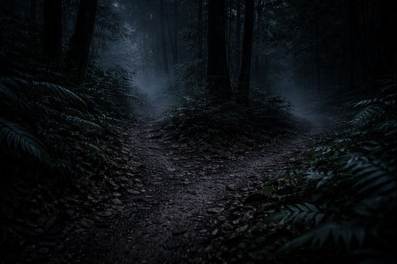 A misty forest path in Taiwan that seems to shift and whisper after sunset